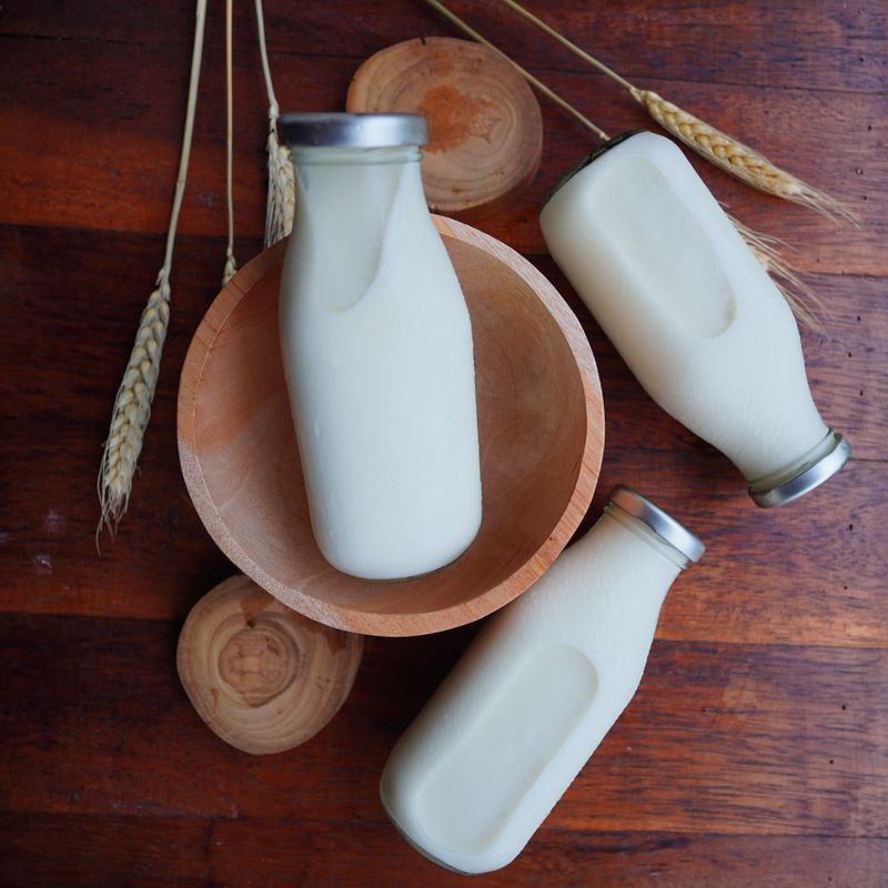 Whole Milk 1 Gallon